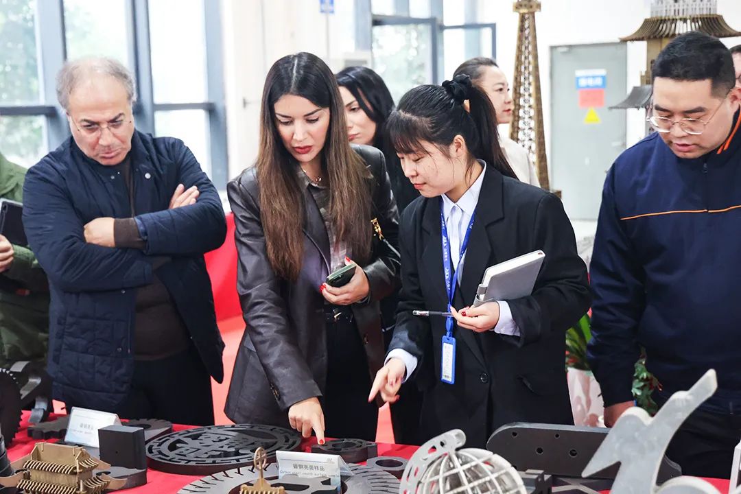 歐委會駐德國首席代表劉靜文攜海外客戶蒞臨迅鐳激光參觀考察!(圖6)