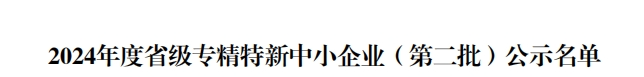 省級殊榮!江蘇迅鐳榮獲2024年度“江蘇省專精特新中小企業”稱號!(圖4)