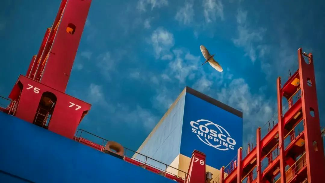 中國遠洋海運(圖3)